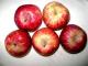Tips To Remove Apple Odor